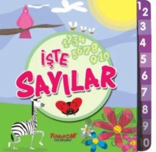 İşte Sayılar