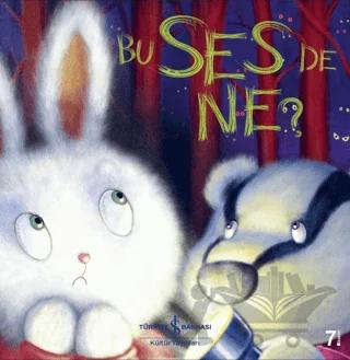 Bu Ses de Ne?