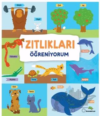 Zıtlıkları Öğreniyorum