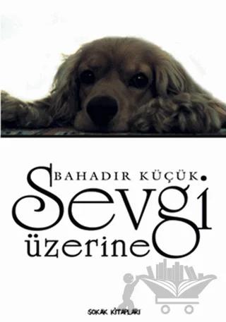 Sevgi Üzerine