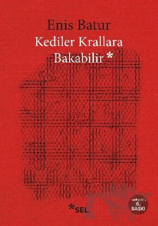 Kediler Krallara Bakabilir