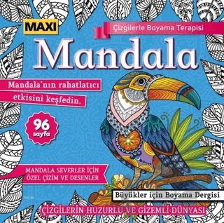 Maxi Mandala Çizgilerle Boyama Terapisi 11