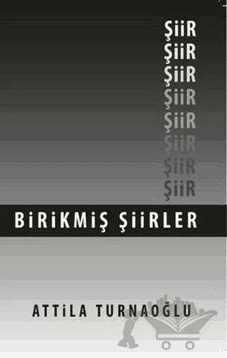 Birikmiş Şiirler
