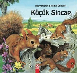 Hayvanların Sevimli Dünyası Küçük Sincap