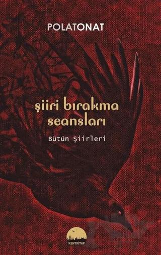Şiiri Bırakma Seansları