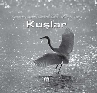 Kuşlar