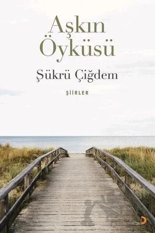 Aşkın Öyküsü