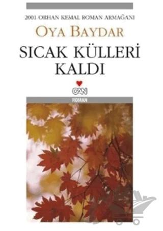 Sıcak Külleri Kaldı