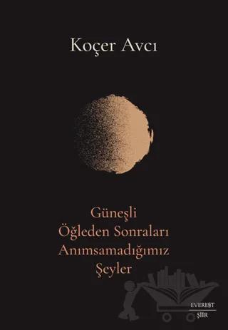 Güneşli Öğleden Sonraları Anımsamadığımız Şeyler