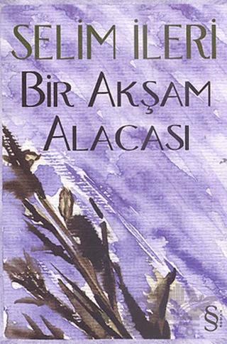 Bir Akşam Alacası
