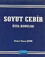 Soyut Cebir Özel konular