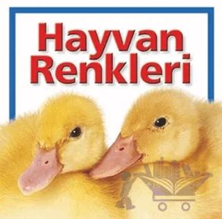 Hayvan Renkleri