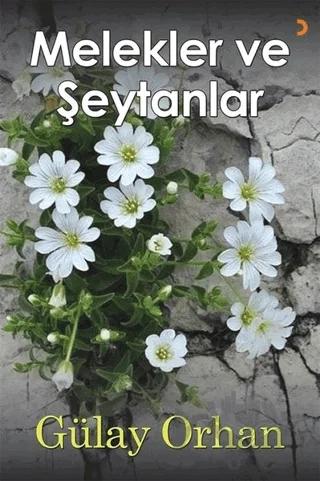 Melekler ve Şeytanlar