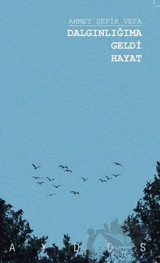 Dalgınlığıma Geldi Hayat
