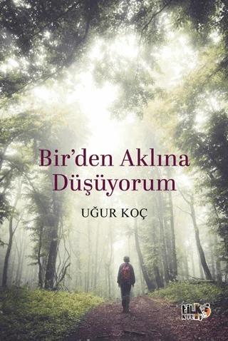Birden Aklına Düşüyorum