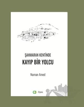 Şahmaran Kentinde Kayıp Bir Yolcu