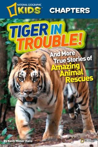 Tiger in Trouble!