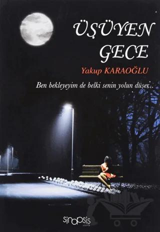 Üşüyen Gece – Yakup Karaoğlu – Sinopsis Yayınları kitap kapağı
