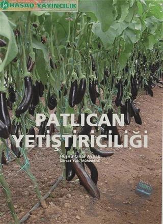 Patlıcan Yetiştiriciliği