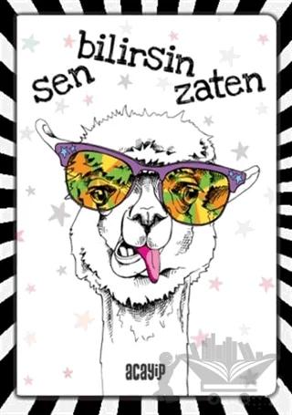 Havalı Panda Defter - Çılgın Defterler