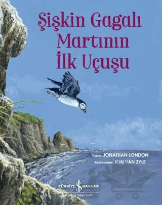 Şişkin Gagalı Martının İlk Uçuşu
