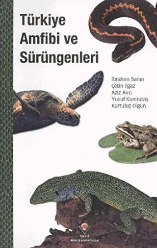 Türkiye Amfibi ve Sürüngenleri