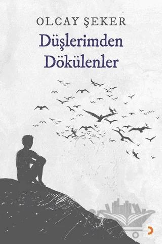 Düşlerimden Dökülenler