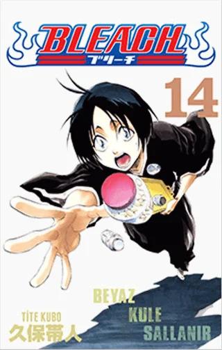 Bleach 14. Cilt