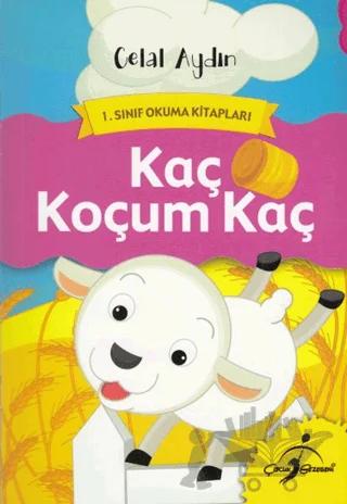 Kaç Koçum Kaç – Celal Aydın – Çocuk Gezegeni kitap kapağı