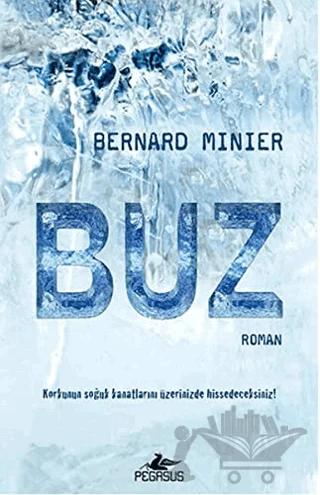 Buz