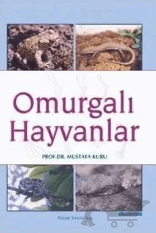 Omurgalı Hayvanlar