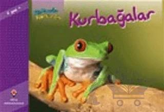 Bir Zamanlar Korkardım - Kurbağalar