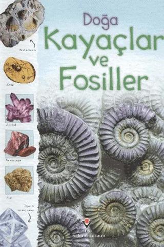 Doğa Kayaçlar ve Fosiller