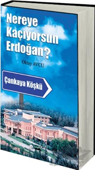 Nereye Kaçıyorsun Erdoğan?