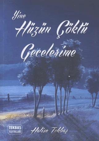 Yine Hüzün Çöktü Gecelerime