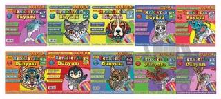 Maxi Renkler 10'lu Set