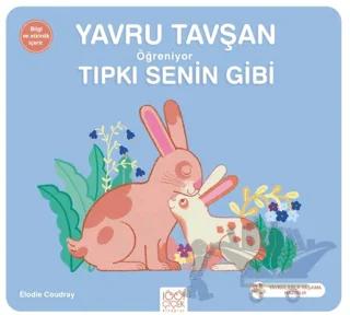 Yavru Tavşan Öğreniyor Tıpkı Senin Gibi