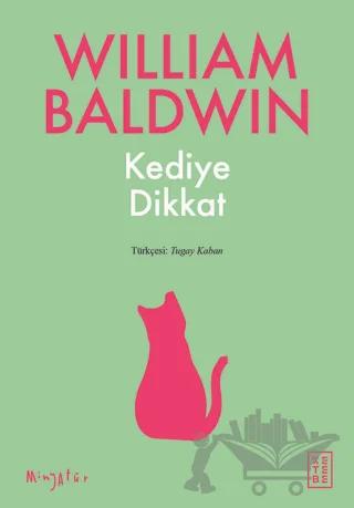 Kediye Dikkat