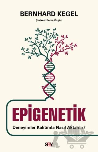 Epigenetik - Deneyimler Kalıtımla Nasıl Aktarılır?