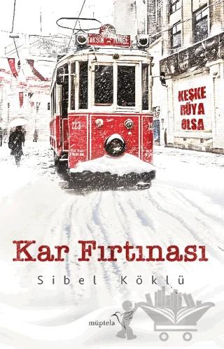 Kar Fırtınası