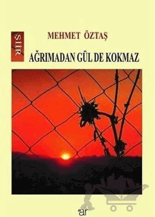 Ağrımadan Gül De Kokmaz
