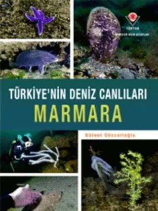 Marmara - Türkiye'nin Deniz Canlıları
