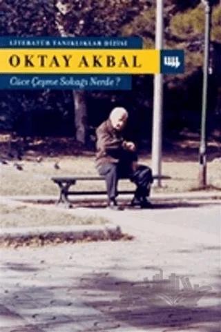 Cüce Çeşme Sokağı Nerde?