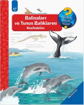 Ravensburger Maksi - Balinaları ve Yunus Balıklarını Keşfedelim