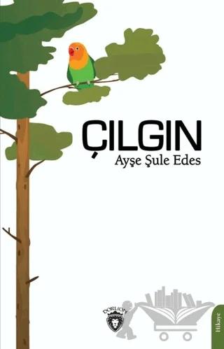 Çılgın