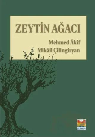 Zeytin Ağacı