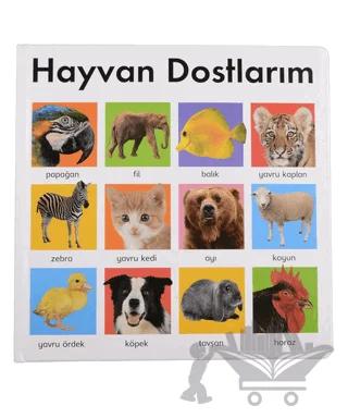 Hayvan Dostlarım