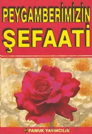 Peygamberimizin Şefaati (Peygamber-008)