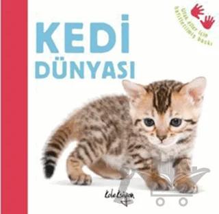 Kedi Dünyası