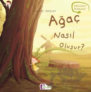 Ağaç nasıl oluşur?